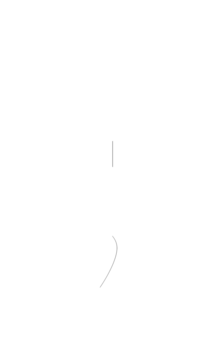 Glyph 113