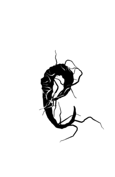 Glyph 102