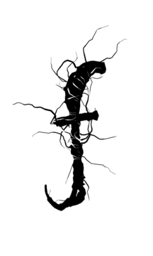 Glyph 104