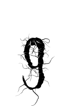 Glyph 107