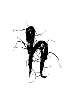 Glyph 110
