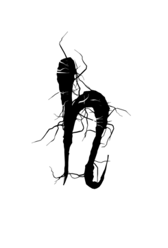 Glyph 112