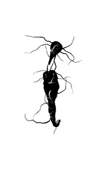 Glyph 113