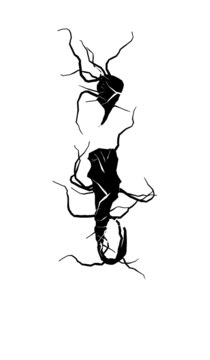 Glyph 114
