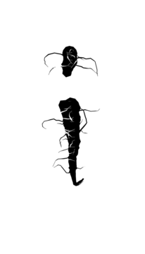 Glyph 115