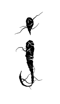 Glyph 117