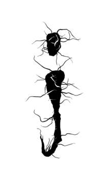 Glyph 118