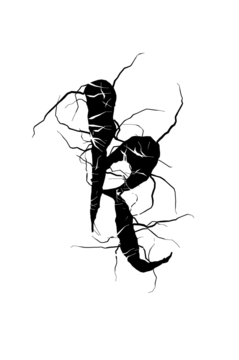 Glyph 119
