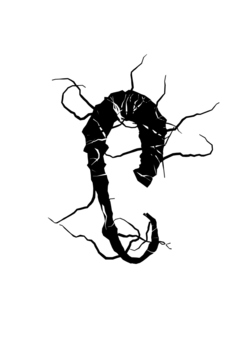 Glyph 12
