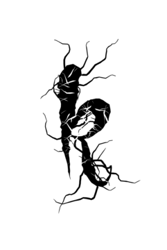 Glyph 120