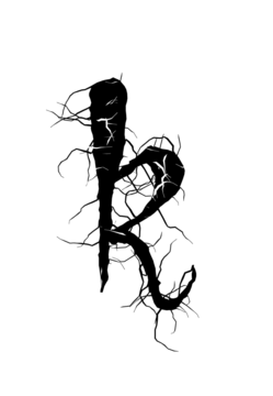Glyph 121
