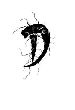 Glyph 14