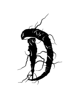Glyph 15