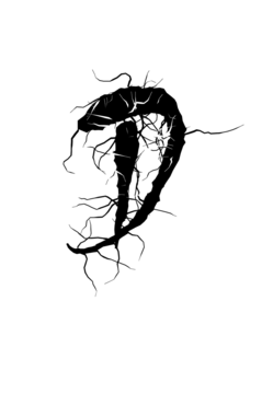 Glyph 16