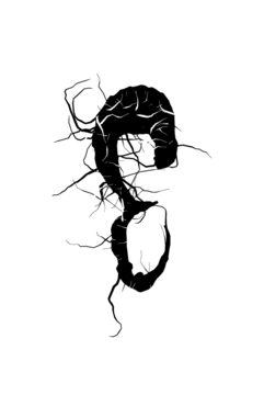 Glyph 17