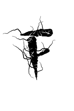 Glyph 21