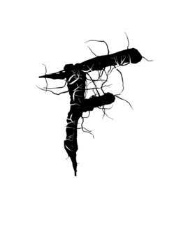 Glyph 22