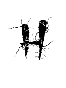 Glyph 27