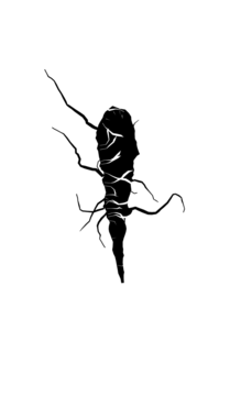 Glyph 30