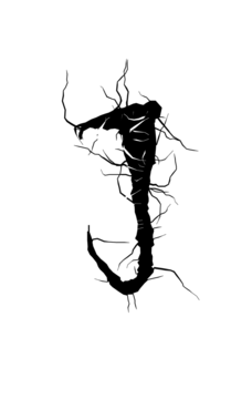 Glyph 34
