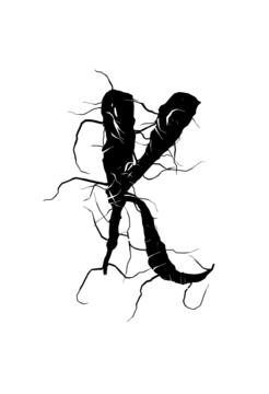 Glyph 35