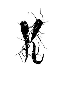 Glyph 36