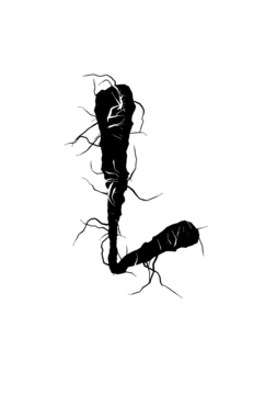 Glyph 40