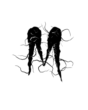 Glyph 41