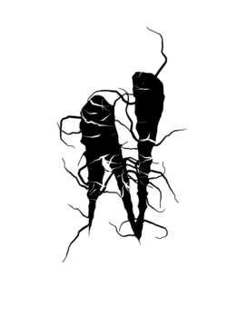 Glyph 45
