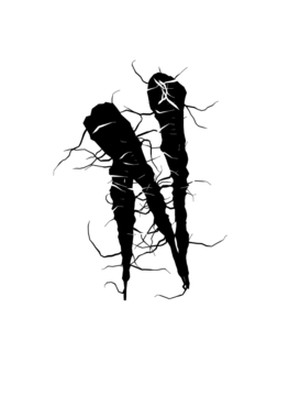 Glyph 46