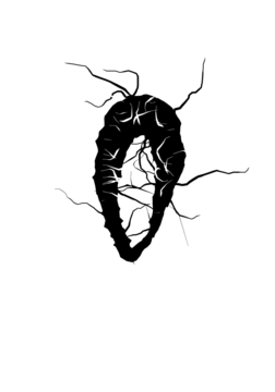 Glyph 47