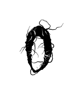 Glyph 48