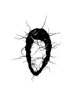 Glyph 49