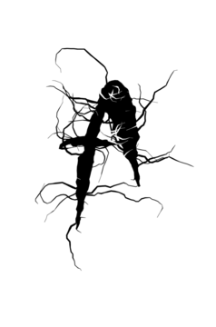 Glyph 5