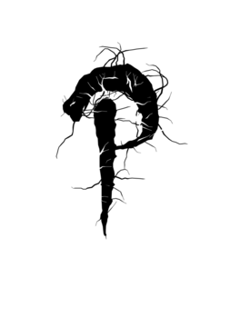 Glyph 52