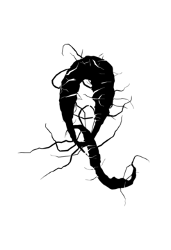 Glyph 53