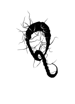 Glyph 55