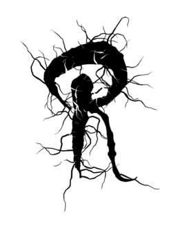 Glyph 57