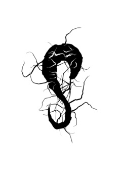 Glyph 59