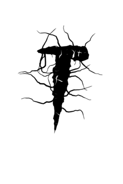 Glyph 63