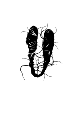 Glyph 65