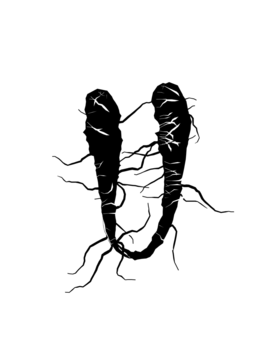 Glyph 66