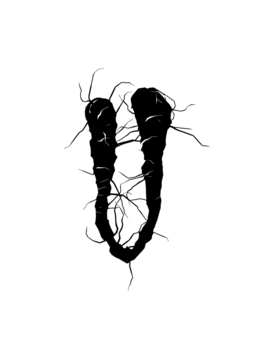 Glyph 67