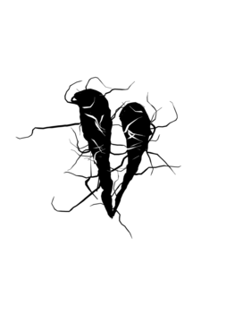 Glyph 68
