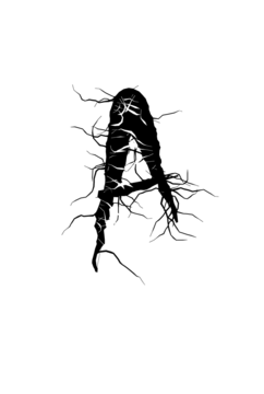 Glyph 7