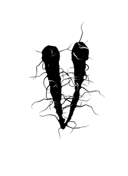 Glyph 70