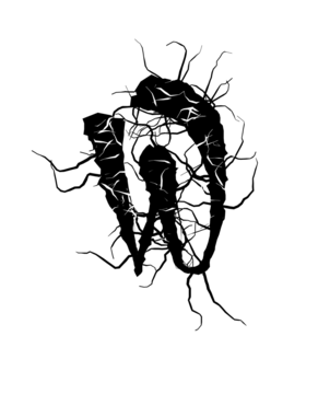 Glyph 71