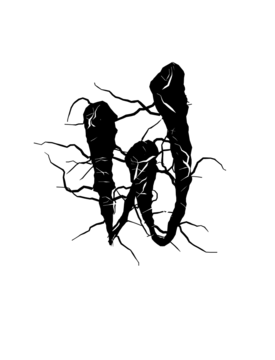 Glyph 72