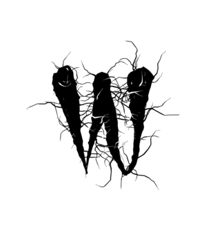 Glyph 73