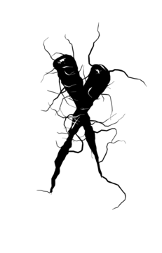 Glyph 74